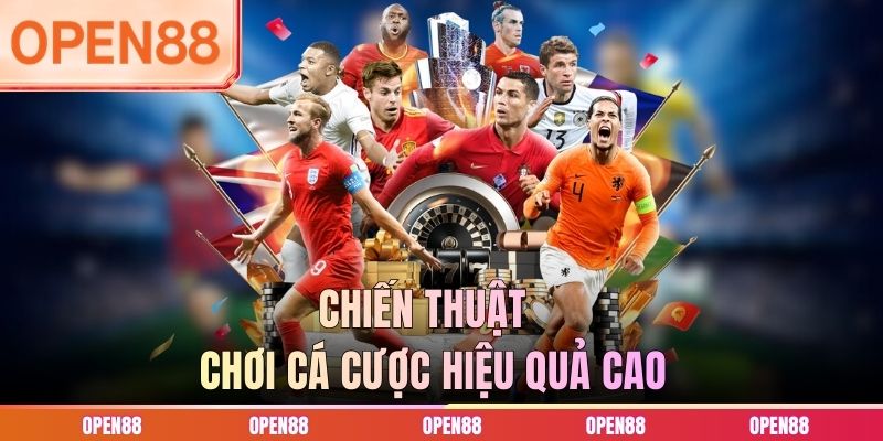 Chiến thuật chơi c&aacute; cược hiệu quả cao